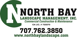 Nb Landscape Logo (250w)